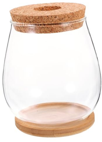 BESPORTBLE 4juegos De Terrario De Transparente Base para De Decoración De Interiores y Exteriores Jarrón De para Suculentas y Cactus