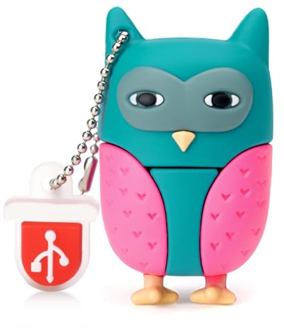Clé USB 64 Go Clef USB 2.0 Clé à Molette Flash Drive Stockage Disque Mémoire Stick en Forme de La Chouette pour Stockage de Données Externes
