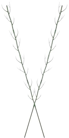SEWACC Lot de 2 Tuteurs en Polypropylène 100 CM pour Plantes Grimpantes D’Intérieur et Balcon Support Décoratif de Branches D’Arbre Treillis Jardin pour Pots de Fleurs et Plantes