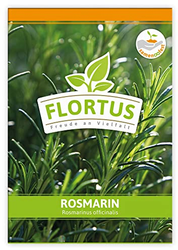 FLORTUS Rosmarin | Kräutersamen | Rosmarinsamen | Samen zur Anzucht für Garten, Balkon, Küche & Fensterbank
