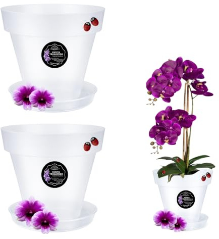 LiveLaif®-2 pcs Ø15cm-Maceta Orquidea Traslúdida + Plato a Juego | Maceta Orquidea Transparente | Maceta Plastico | Macetas para Orquídeas Transparente | Macetero Orquidea (2, ⊘15 cm)