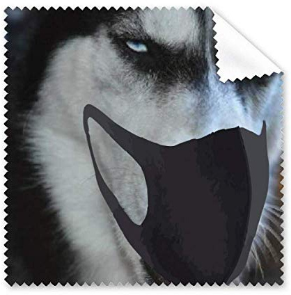 Schöner, lustiger Sibirischer Husky-Hund, Reinigungstuch für Telefon, Bildschirm, Brillen, Reiniger, 5 Stück