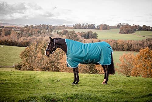 Horseware Amigo Bravo Turnout 12 Wug lite Storm Green Größe wählbar