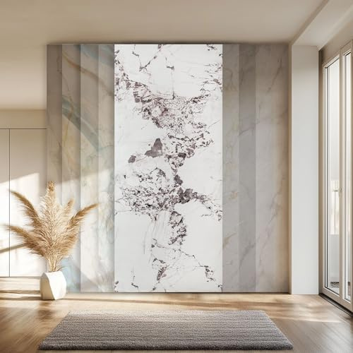 HEXIM Marmorplatten Optik 10 Stück 280x122 cm SPC Kunststoff Innen & Außenbereich Granit Steinoptik - Duschrückwand Küchenrückwand Spritzschutz Badverkleidung (34,16 m² 2005) A-Serie