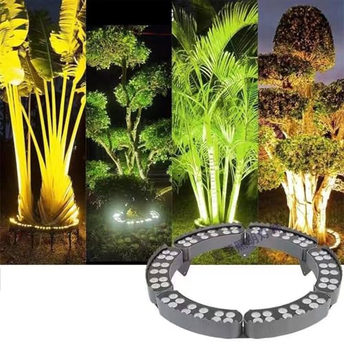 QICBYING Anello Luminoso per Alberi da Esterno - Luci Che Abbracciano Gli Alberi, Illuminazione Impermeabile per Alberi da Giardino Colorati, Giardino Cortile Paesaggio Lampada(Warm Light,24W(24V))