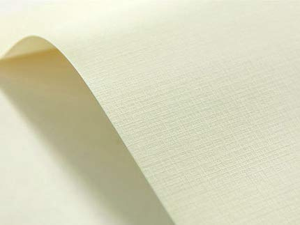 Netuno 100 x krämfärgat rutigt präglat kort A4 210 x 297 mm 8,3 x 11,7 tum 246 gsm Elfenbein texturerat papper dekorativt kort för inbjudningar menyer fotoalbum bordskort överdrag visitkort flygblad