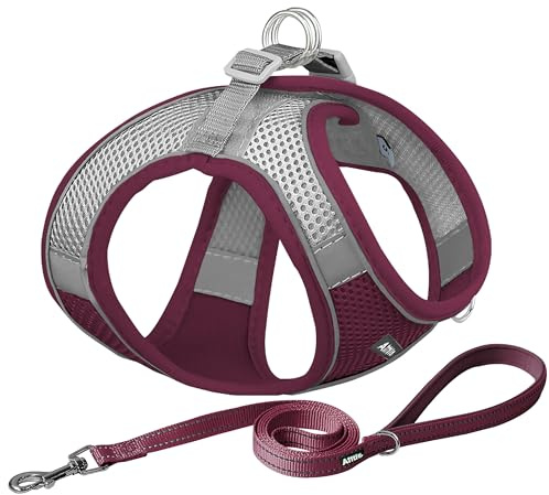 AIITLE Hundegeschirr, No-Pull Katzengeschirr mit Leine, Burgund XXXS | einstellbare reflektierende Hundeweste, Welpengeschirr fluchtsicher, Spaziergang im Freien für kleine Hunde und Hauskatzen