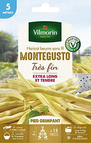 Vilmorin Haricot à rame beurre Monte Gusto sachet série 5m