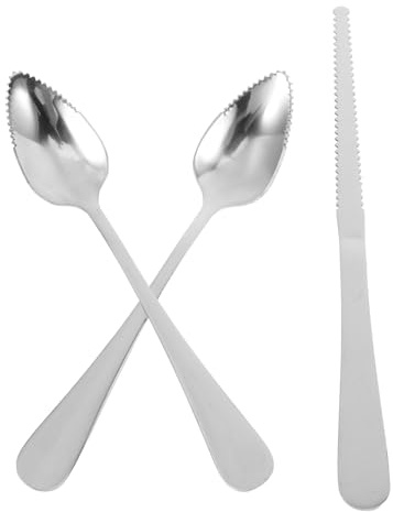 Kit Couteaux à Agrumes 1 Set en Acier Inoxydable pour Kiwi et Dessert | Bord Dentelé, Poignée Épaisse, Finition Argentée, Usage la Cuisine et Table à Manger