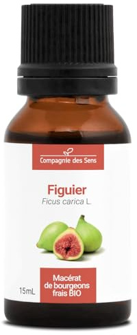 Figuier BIO (Ficus Carica) – Macérat concentré de bourgeons frais