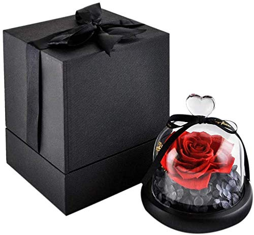 KNRAGHO Rose im Glas, HelaFleur die sch?ne und das Biest Rose and Gift Box Muttertagsgeschenk (Rose1)