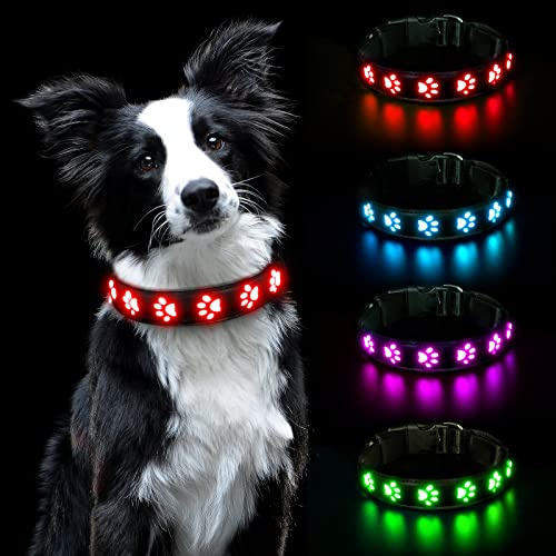 AUAUY LED Hundehalsband Leuchtend, Wasserdichtes, 3 Beleuchtungsmodi Rot-L | Einstellbar Sicherheit Kragen, Hunde Halsband, USB Wiederaufladbar, Wasserdichtes, für Kleine Mittlere Große Haustier