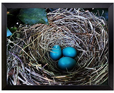 Lap Tray with Cushion | Birds Nest Duck Egg Blue | Padded Bean Bag Cushion | For Eating, Working, Crafting, Laptop | Portable Table Desk