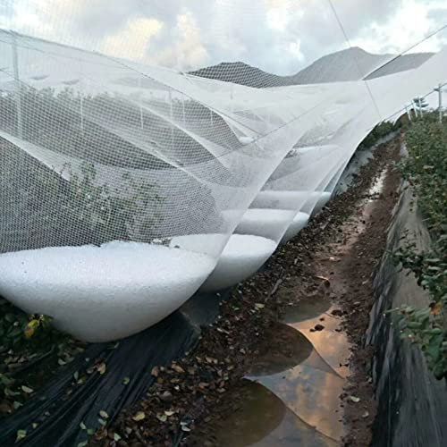 Filet Anti-grêle pour Plantes de Jardin, Filet Anti-Oiseaux Blanc pour la Protection des Fruits et légumes, Filet d'élevage d'étang réutilisable pour Piscine Hors Sol (Couleur : l x h, Tail