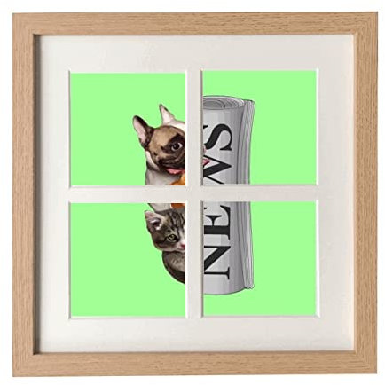 Rollo de periódico para mascotas, marco de moda, para pared, 4 aperturas