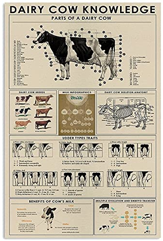 351 Metal Vintage Placa Conocimiento De La Vaca Lechera Partes De Una Vaca Lechera Cartel De Metal Aluminio Letrero De Estaño Para Decoración, Cocina, Oficina 20x30cm