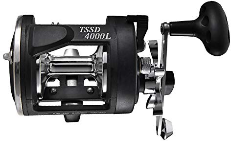 Baitcaster-Rollen, Angelrollen, Sichtbarer Ankerfisch, Angelrolle mit Vollmetallkopf, Meeresangel-Trommelrolle, Baitcaster-Angelschnurrolle mit Abfluss (4000L)