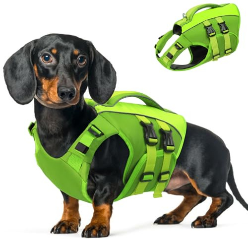 Queenmore Small Dog Life Jacket,Small Dog Life Vest for Swimming,Adjustable Reflective Dogs Swimming Vest,High Buoyancy Dogs Lifesaver,Pet Life Preserver(Green,S)