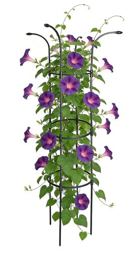 Treillis de parasol de jardin | Décoration verticale antirouille stable | Treillis supérieur de champignons | pour vigne, rose, légumes, dragon, fruits, , hortensias, , pothos