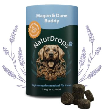 NaturDrops Magen & Darm Buddy Hundesnacks - 125 Stück, 250 g | Mit Kümmel, Schafgarbe & fermentierten Kräutern für Magen & Darm bei empfindlicher Verdauung, 100 % natürlich