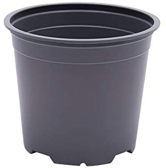 Gone Potty 1 LITRE (13CM) PLASTIC PLANT POT (x50)