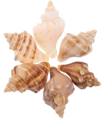 Parliky Coquilles De Conque Naturelles 8X6X6Cm DéCorations Aquarium Remplacement Coquillage pour Crabe Marin DéCor Maison FêTe À ThèMe Nautique