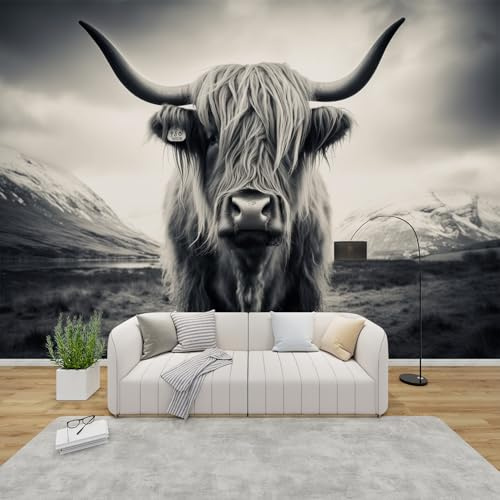 MMYAOKEN Papier Peint Panoramique Vache Des Highlands 250x175 cm - Décoration Murale Animaux de la Ferme - Tapisserie Murales Papier Peint Intissé pour Chambre Salon - Poster Tableaux Photo Muraux