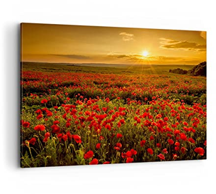 ARTTOR Leinwandbild 100x70cm Wandbild Botanik Landschaften - 3643 | Mohn Blume Wiese Groß Wanddekoration Wohnzimmer Schlafzimmer Küche Wanddeko Wand Kunstdruck Wandkunst Wall Decor ARTTOR