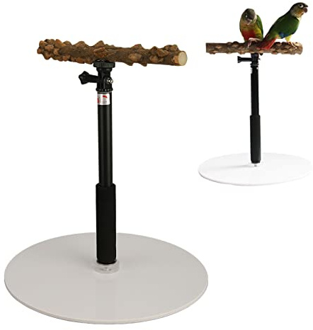 Vogel Spiel Ständer, einstellbare Höhe Papagei Training Barsch Stand, 11.8in-37.0in, Naturholz Papagei Stand Plattform, tragbare abnehmbare Papagei Spiel Stand für Nymphensittiche, Unzertrennliche