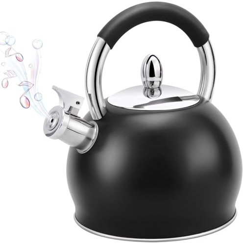Bouilloire sifflante 3 L en acier inoxydable(noire)