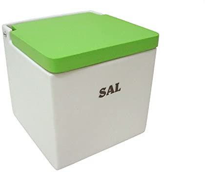 SALERO Sal Cuadrado Porcelana Blanco Letrero Sal BISAGRA Tapa Madera Verde