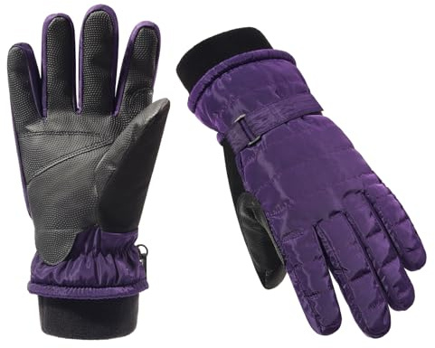 Vislivin Women Winter Ski Gloves Windproof Thermal Skiing Gloves Touch Screen Snowboard Snow Glove Purple-S