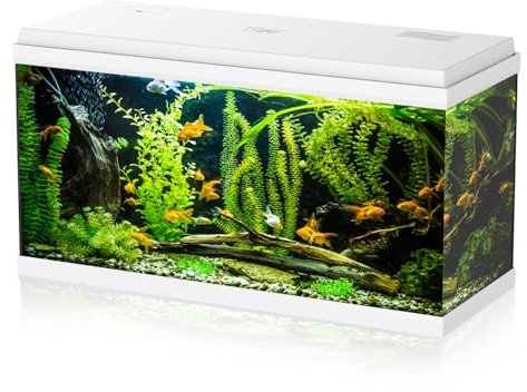 Aqpet Acquario in Vetro per Pesci tropicali Completo di Accessori Filtro Luce Simply, 100 80x32x47 cm 100 Litri, Bianco