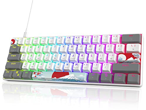 Owpkeenthy Tastiera meccanica RGB 60% interruttori rossi, mini tastiera da gioco cablata ultra compatta con tasti PBT Dye-Sub retroilluminati per Windows/Mac/PC (interruttore bianco/rosso)