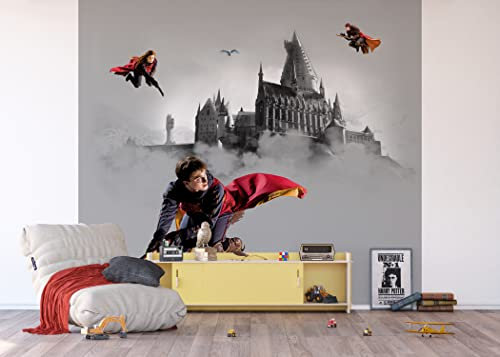 AG Design Harry Potter Vlies Fototapete 300 x 270 cm | 4 Teile | ADTD4P 5096-011