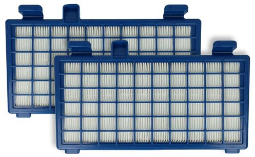 vhbw 2x Filtre remplacement pour Rowenta RS-RT3931, ZR902301 pour aspirateur - Filtre HEPA contre les allergies