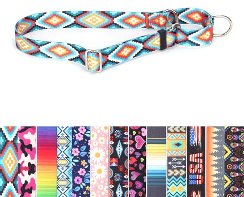 Martingale Halsband für Hunde, rutschfest, ausbruchsicher, Würgen, kein Ziehen, weiches Nylon, verstellbar, für kleine, mittelgroße und große Rassen, Boho, L