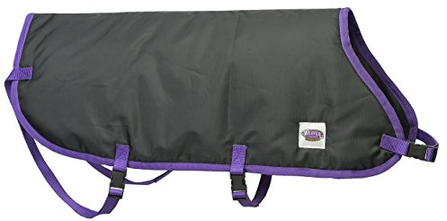 Weaver Leather Livestock Pro Calf Blanket