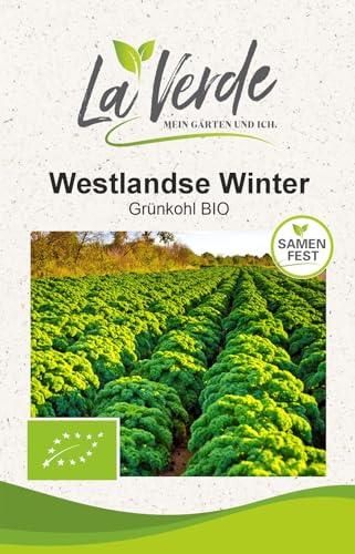 La Verde MEIN GARTEN UND ICH. Westlandse Winter BIO Grünkohl Samen für ca. 50 Pflanzen, frostharter Wintergrünkohl, Saatgut ohne Gentechnik