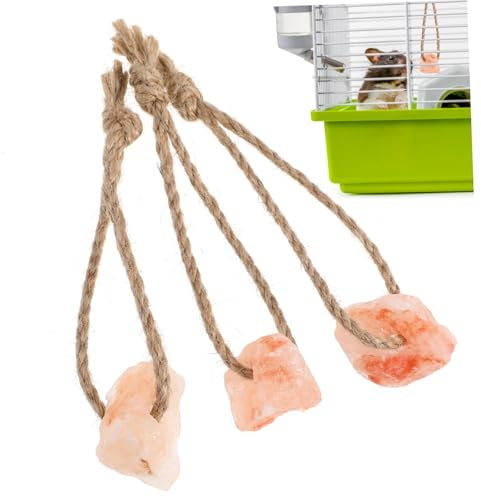 MUELODSIC Salzleckstein Für Haustiere Mit Kordel 3 Stück Mineral Kauspielzeug Für Kaninchen Eichhörnchen Und Meerschweinchen Fördert Zahnpflege Und Kauverhalten
