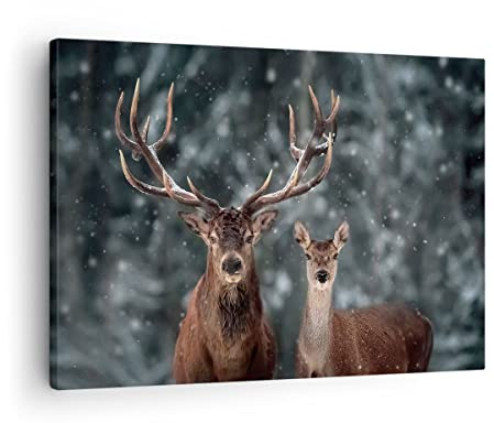 Bilder auf Leinwand Hirsch Rentier Reh Leinwandbild mit Rahmen 70x50cm Wandbilder Dekoration Wohnzimmer Schlafzimmer Küche Deko Klein Wanddeko Bild Wand Kunstdruck Art Wall Decor Canvas AA70x50-5060