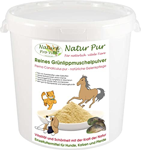 Grünlippmuschelpulver für Pferde Knochen Gelenke Sehnen Haut Fell Natur pur Top Qualität natürliche Taurinquelle reines Grünlippmuschelpulver Glycosaminoglycane (Gag) hohe Bioverfügbarkeit 1kg Eimer