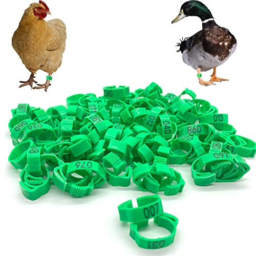 DHER Geflügel Fußringe Kleingeflügel Klemmringe Tauben Fußringe 100PCS mit digitalem Bajonett Identifikations-Taubenring,digitaler 1-100 Marker-Taubenfußring,18-22mm verstellbarer Taubenfußring (Grün)
