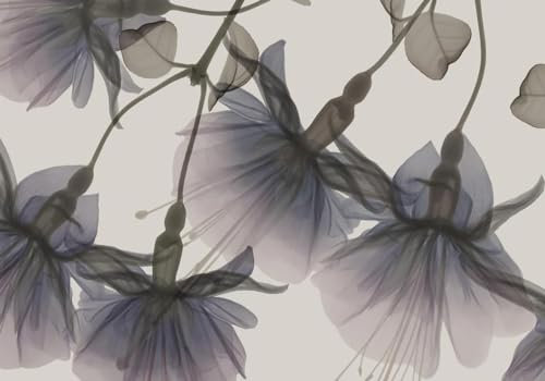 Fototapete Blumen 3D Tapeten 3D Effekt Wohnzimmer Schlafzimmer Vliestapete Moderne Romantische Transparente Narzissenblüte Natur Grau Graffiti Steinoptik Kinder Tapeten