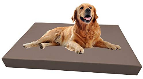 Barry & Lucy Hundelager Hundematte Hunde Matratze Hundeschlafmatte Hundebett Hundekissen Hundeplatz Kunstleder viele Farben (105x75x10, moca)