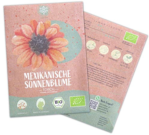 Bio Mexikanische Sonnenblumen Samen, 20 Blumensamen mit hoher Keimquote, Sonnenblumensamen für deinen Garten, Balkon, Beet oder als Gastgeschenk. Samenfestes Blumen Saatgut.