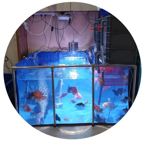 Generisch Aquarium-Poolteich, Fischteich aus PVC-Segeltuch mit Stahlrahmen, klares Sichtfenster, viel Platz – Koi-/Goldfischzucht, Garten im Freien (Farbe: Blau, Größe: 120 x 80 x 51 cm)