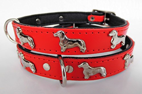 *DACKEL* Hunde Halsband, Leder, Halsumfang 28-31cm oder 36-41cm,* ROT* NEU (45cm (Halsumfang 36-41cm))/422/