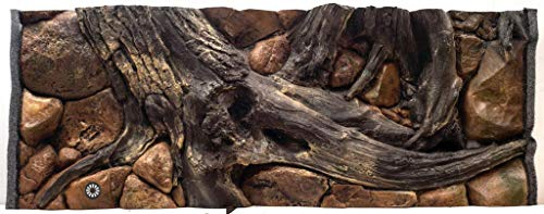 ZooPaul Aquarium Rückwand 3D Amazonas 120x60cm
