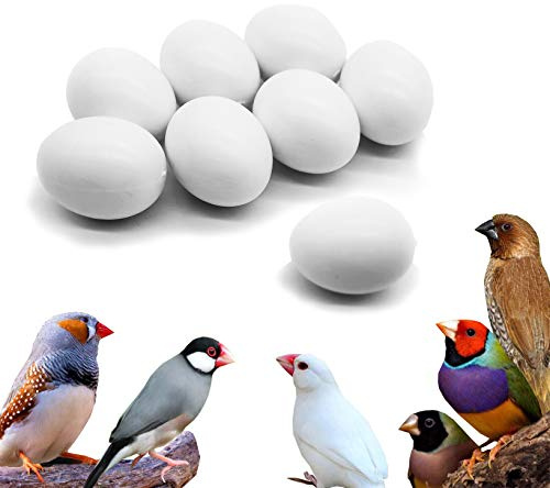 FOIBURELY 8 Pcs Solid Bird Plastic Eggs Hatching Eggs Gouldian Finch, Society Finch, Zebra Finch, Spice Finch Trick The Birds to Stop Laying Eggs, Fake Eggs（16mm*12mm）